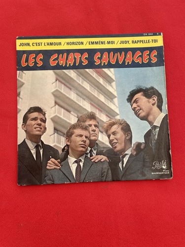 Les chats sauvages - sauvages, avec