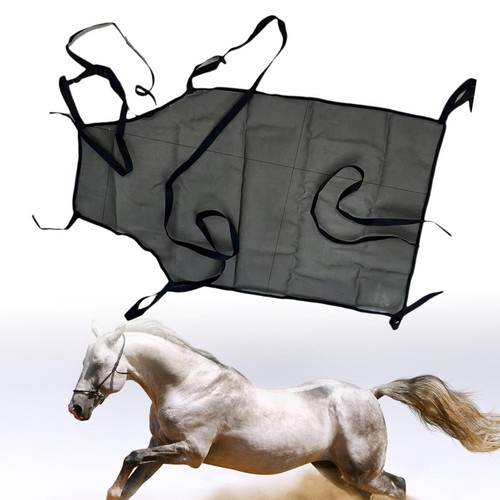 Protège ventre pour - pour, cheval