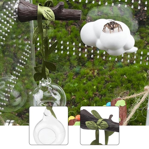 Terrarium décoratif pour