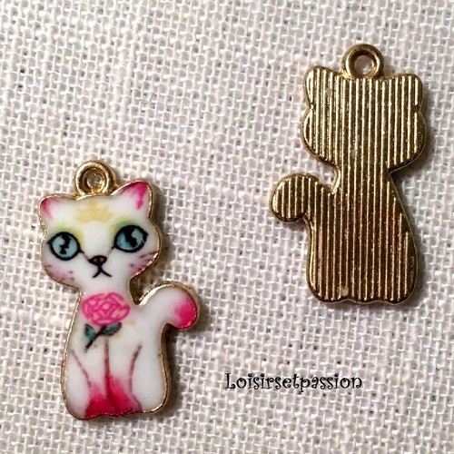 Lot charm breloque - lot, 2