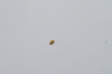 Breitling Chronomat Lunettes