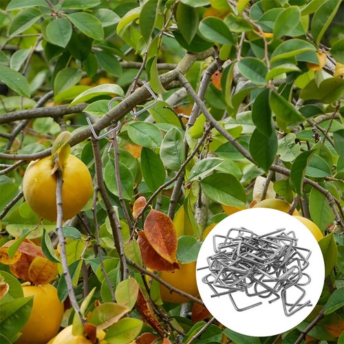 Extracteur branches en - branches,