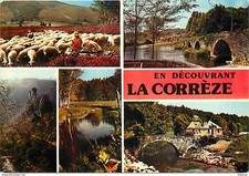 19 - Corrèze - Multivues - Moutons - CPM - Voir Scans Recto-Verso