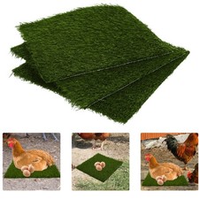 3 Pcs Fournitures Pour Poulets