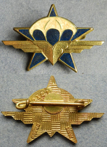 Rcp chasseurs - 1°,