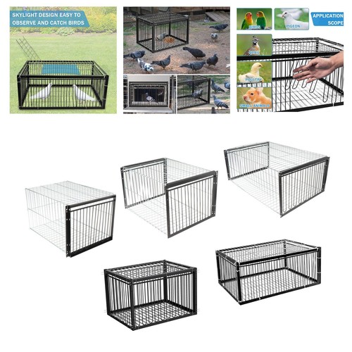 Cage pigeons fer pour - en,