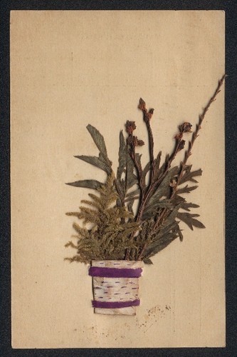 Carte postale fleurs - carte,