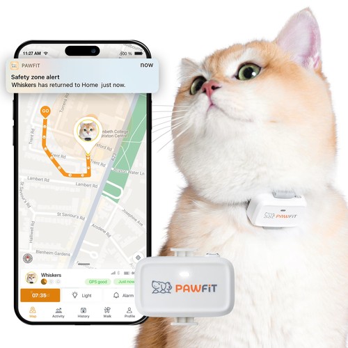 Lite traceur gps 4g - -,