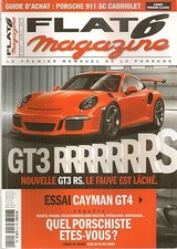 FLAT 6 290 PORSCHE 991 GT3 RS