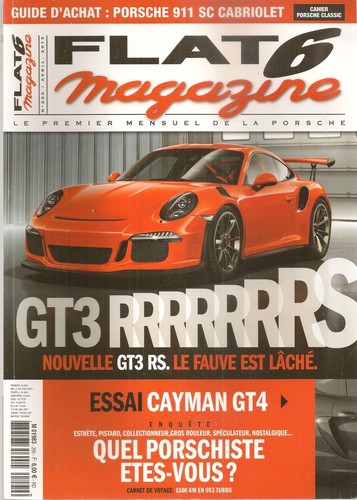 Flat 290 porsche - porsche, gt3