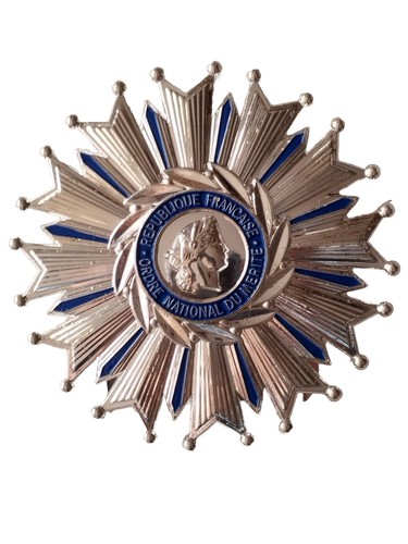 Plaque grand officier - plaque, de
