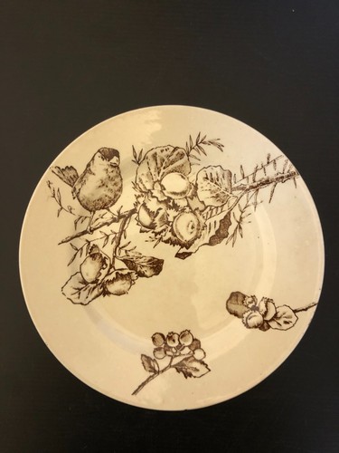 Assiette décor oiseau sur - assiette,