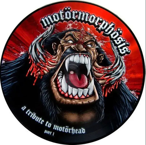 Image disque quasimodo - disque,