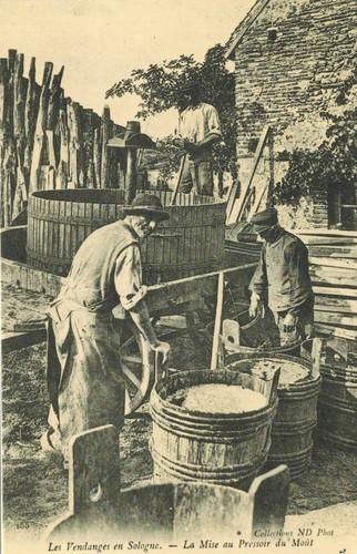 Reédition carte postale