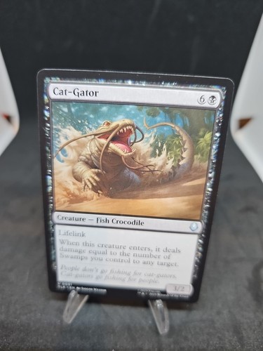 Cat gator avatar - cat-gator, last