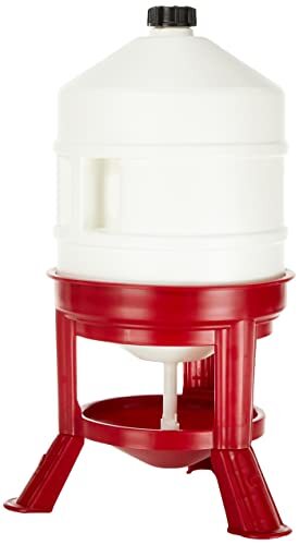Novital 70233 abreuvoir poule - novital,