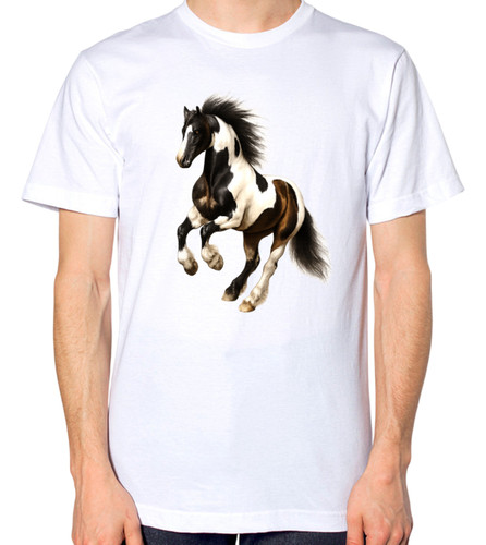 Gypsy vanner irish cob horse - irish,