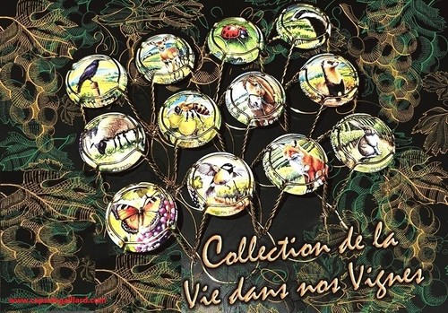 News série 12 capsules - news,