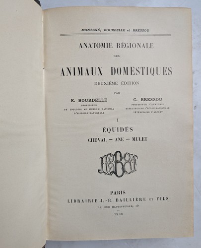 Anatomie régionale des - régionale,