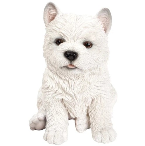 Adorable highland terrier - adorable,