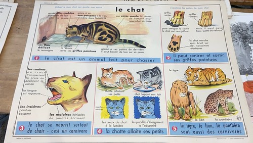 Carte affiche scolaire mdi - carte,