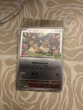 Pokemon Évoli 196/sv-p