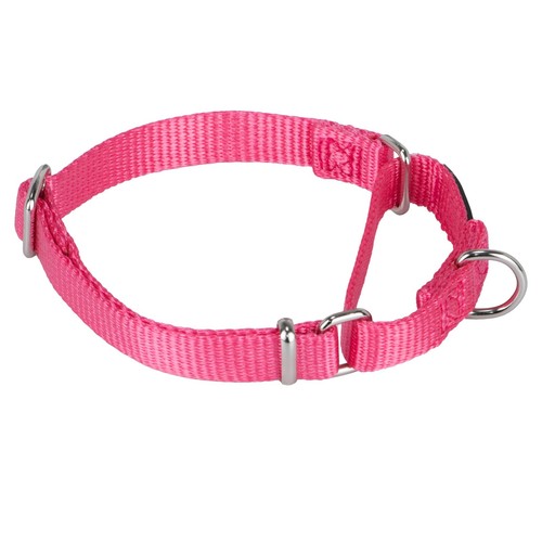Collier martingale - collier,