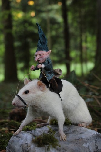 Taxidermie rat taxidermy - taxidermie,