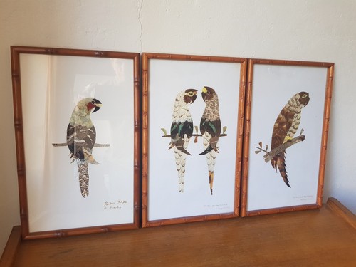 Tableaux oiseaux ailes de - en,