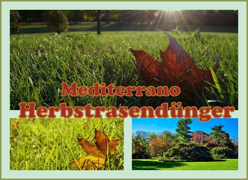 Engrais automne pour - engrais,