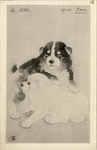 Cpa carte postale - cpa,
