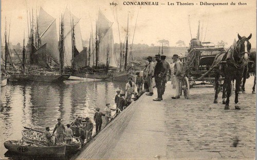 Concarneau les thoniers - 29,