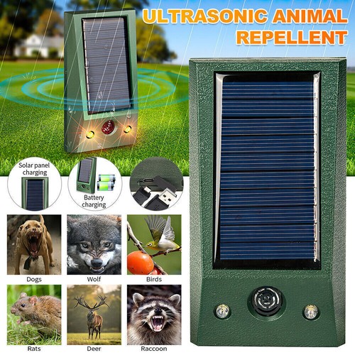 Répulsif solaire ultrasons - solaire, à