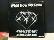 TARA SCHAFT BLACK DIAMOND What now my love 49381