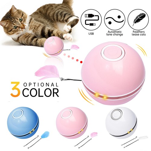 Jouet pour chat interactif - , à
