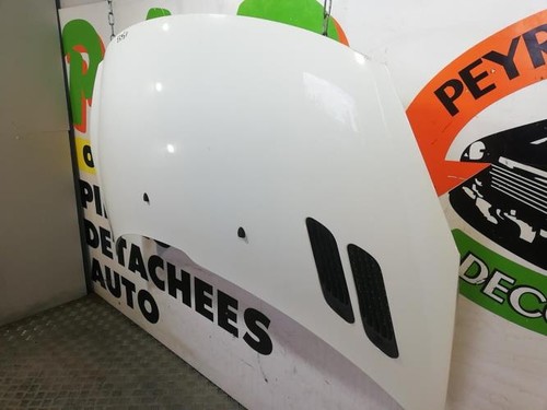 Capot peugeot 206 7901r5 - capot, 206+