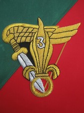 FANION PARACHUTISTES LEGION