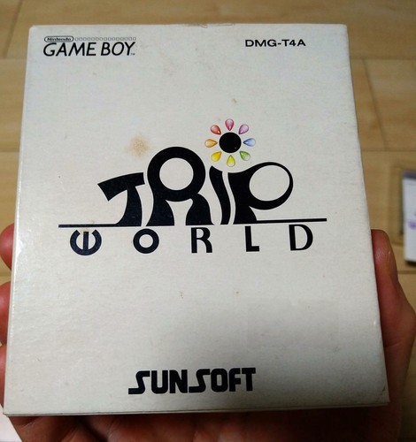 Nintendo trip world - trip, boy