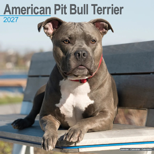 Calendrier 2027 american - calendrier,