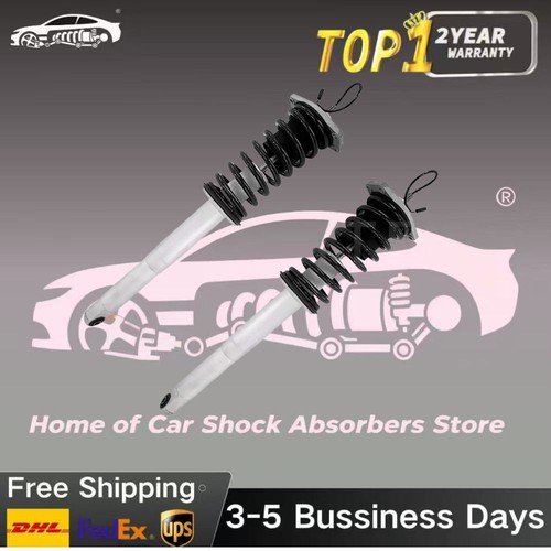 Front shock strut assys - shock,