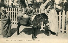 Carte Scènes et Types Un Porteur d'eau Métier Enfant sur l'âne