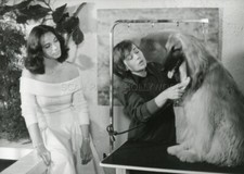 ANNIE GIRARDOT MARILU TOLO