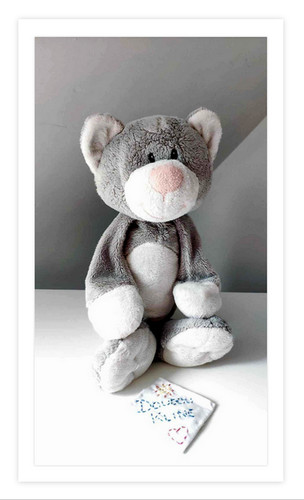 Peluche doudou chat - chat, et