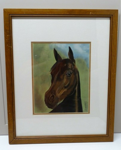 Tete cheval pur sang pastels - sang,