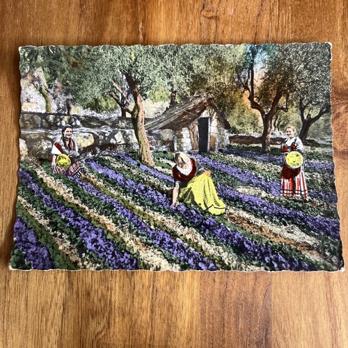 Postcard cpa la - postcard,