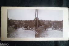 STB854 Coche Chariot voiture à cheval original amateur albumen photo STEREO