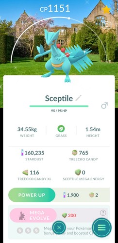 Pokémon shiny sceptile - go✨shiny,