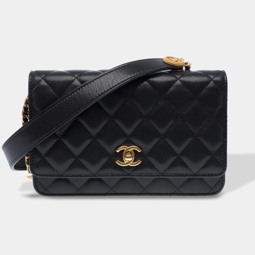 Sac chanel wallet chain - sac, on