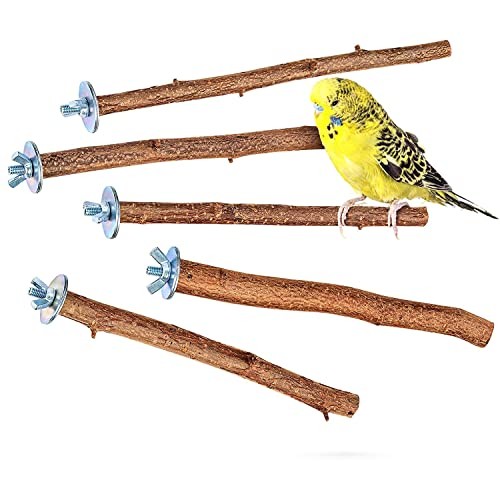 Perchoir perroquet bois - perchoir,
