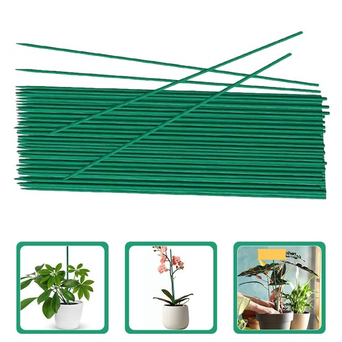 Pcs tuteurs pour plantes - 40,